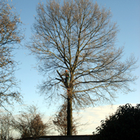Onderhoud
